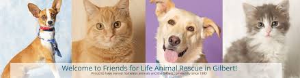 On this pet friendly city page, and thousands more like it, all over the world, you will find everything you need from pet friendly hotels to the services that will make your. Friends For Life Animal Rescue Linkedin