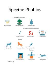 Image result for Specific Phobia