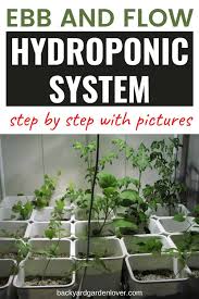 Maybe you would like to learn more about one of these? Diy Ebb And Flow Hydroponic System Step By Step With Pictures