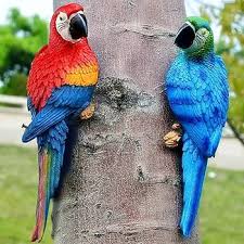Image result for parrot