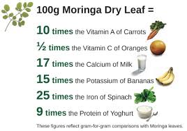 Moringa Tree The Miracle Tree Superfood Smart Food