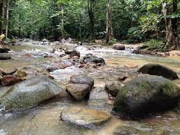 One of the few gazetted under the selangor state forest reserve. Sungai Tua Recreational Forest Review Of Sungai Tua Recreational Forest Selangor Malaysia Tripadvisor