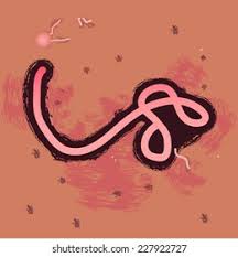 Ebola virus vp24 interacts with np to facilitate nucleocapsid assembly and genome packaging. Virus Ebola Under Microscope Stock Vector Royalty Free 227922727