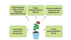 Kunci jawaban buku tematik kelas 5 tema 9 kurikulum 2013 edisi revisi. Kunci Jawaban Tema 1 Kelas 6 Halaman 39 40 41 42 43 45 46 47 48 Subtema 1 Pembelajaran 4 Tumbuhan Tribun Pontianak