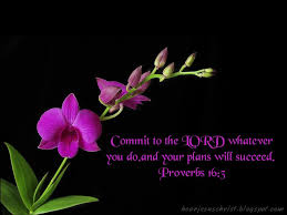 This app was rated by 1 users of our site and has an average rating. 50 Proverbs Wallpaper Scriptures On Wallpapersafari