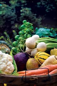 Grow Your Best Fall Garden Vegetables Mother Earth News