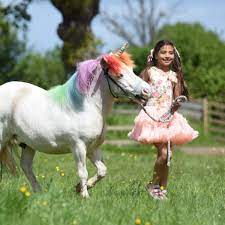 Maybe you would like to learn more about one of these? Unicorn Land The First Real Life Unicorn Tour Is Coming To Liverpool Liverpool Echo