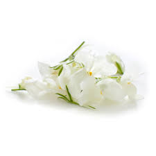 There are 4736 edible flower for sale on etsy, and they cost au$10.77 on average. Linaria White Petite Ingredient