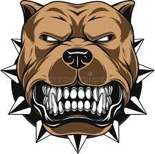 Angry Dog Vector Illustration Angry Pitbull Mascot Head On A White Background Ad Vector Illustration Angry Dog Vector Angry Dog Vector Illustration