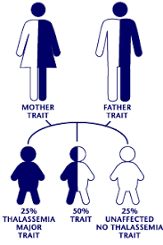 Genetic Testing For Thalassemia Trait - Thalassemia.com