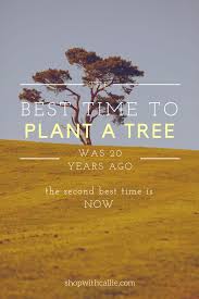 The Best Time To Plant A Tree Was 20 Years Ago The Second Best Time Is Now Style Subscription Style Inspiration Summer Style Inspiration Hipster