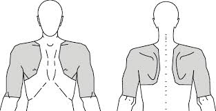 Twisting, pulling, or falling are common ways muscles in the shoulders become painful. Manikin Used To Record Shoulder Pain Download Scientific Diagram