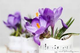 Diy Blumentopfe Aus Dosen Und Papier Diy Blog Papier Und Selbermachen