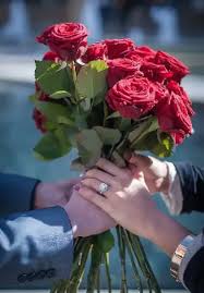 Fotografiya Flower Images Beautiful Rose Flowers Romantic Couples Roses with wooden box & chocolate balls. flower images beautiful rose flowers