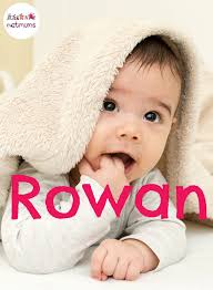 Welsh Baby Names Welsh Baby Names Baby Names Traditional Baby Names