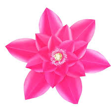Check spelling or type a new query. Catalogo De Flores Gigantes Flores De Papel