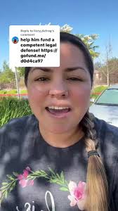 Adrian Ice Go Fund Me