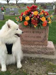 Although the family lived a comfortable life in indiana, they chose to move west to california for a better life. Fairmount In James Dean S Grave