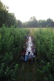 Dining Among The Vines Outdoor Natur Gartenfest