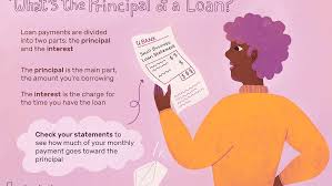 And like the repayment schedule, how long your loan term lasts will also vary greatly. Loan Principal What Is It