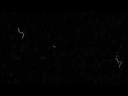 4k Dirt Vintage Film Dust Hair Damage 35mm Footage Free Noise Overlay After Effects Premiere Hd Youtube Vintage Film Overlay Dust Gif Overlays
