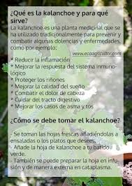 Pin En Salud