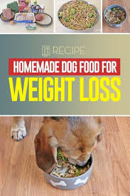Pin On Homemade Weight Loss Dog Food