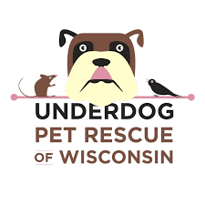 If you are interested in trying to meet with this animal, schedule your visit for tomorrow or later. Pets For Adoption At Underdog Pet Rescue Of Wisconsin Inc In Madison Wi Petfinder