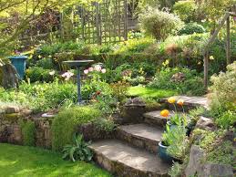 Various areas on the slope are flattened, with landscape timbers or railroad ties supporting the sides of the step. Gardening On Slopes Ongardening Com