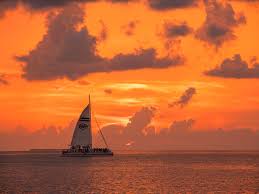 We did not find results for: Key West Sunset Cruises Sunset Sails