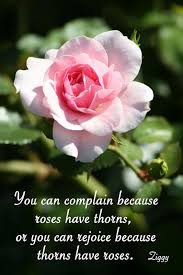 Lily Fashion Quote Garden Garden Quotes Rose Quotes Garden Signs