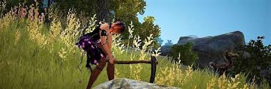 Camels came into the game with the valencia patch update. Bdo Gathering Guide Black Desert Online Grumpyg