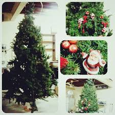 for sale christmis tree