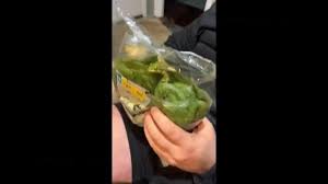 Frog in salad