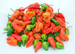 Questa salsa è molto facile ed è un'ottima base da cui partire per lavorare con questo ingrediente. I 10 Peperoncini Piu Piccanti Al Mondo Foto L Huffpost