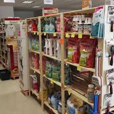 950 34th street north, st. Photos At Animal House Food Care Pet Store In Termoli