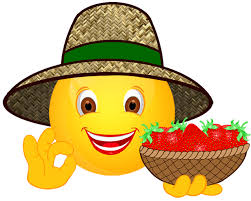 After mixing the batter, you leave it overnight at room temperature. Garten Smiley Meine Internetseite