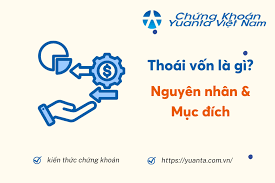 Thoái vốn là gì? Nguyên nhân & Mục đích | Yuanta Việt Nam Yuanta Việt Nam -  Tập đoàn tài chính chứng khoán hàng đầu Châu Á