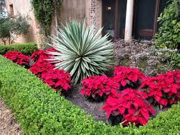 These plants bloom beautifully and. Landscaping In Florida A Season By Season Guide