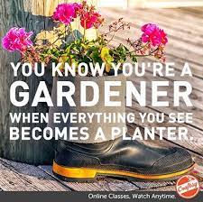 Pin By Michelle Robbins On Inspiration Gardening Humor Garden Quotes Organic Gardening Tips