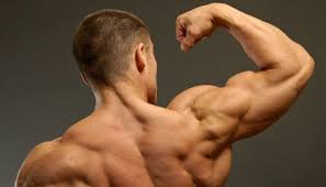 If there's one body part that adds an instant air of dominance and masculinity to a man's physique, it's shoulders. The Best Exercises To Build Big Shoulders