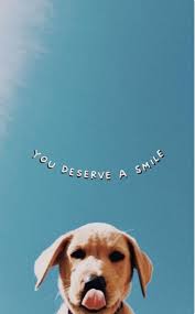Dog Wallpaper Iphone Aesthetic Dog Wallpaper Iphone In 2020 Puppy Wallpaper Iphone Dog Wallpaper Iphone Cute Dog Wallpaper
