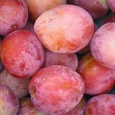 Usually, you need to have at least 2 small apple trees to ensure pollination. Dwarf Patio Miniature Victoria Plum Fruit Tree 60 70cm Supplied In A 2 3 Litre Pot Direct Plants