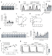 Bankruptcy court for the district of colorado. Kin17 Facilitates Multiple Double Strand Break Repair Pathways That Govern B Cell Class Switching Scientific Reports