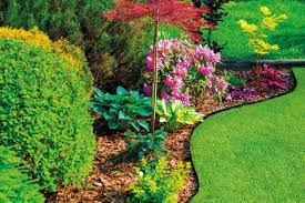 Apart from adding color to your garden, the submerged flower bed will utilize any well, they work well as edging, durable plant containers, and even materials for a raised garden bed. Agralan Heavy Duty Easy To Use Flexible Black Garden Bordiflex Flexiborder Lawn Grass Flower Bed Border Edge Edging Roll Made From Recycled Bottles 5m Buy Online In Luxembourg At Luxembourg Desertcart Com