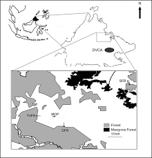 The impact of the cultivation of oil palm plantations on orangutans is devastating, it has wiped out virtually their. Location Of The Four Sampled Oil Palm Plantations In East Sabah Download Scientific Diagram