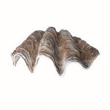 Save on patio & garden items. Resin Clam Shell Extra Large