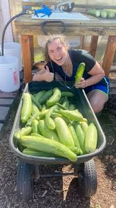 Boise Urban Garden School‎‏ (@‏‎boiseurbangardenschool‎‏) · Instagram  تصاویر اور ویڈیوز