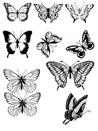 Vlinders Zwart Wit Butterfly Tattoo Butterfly Drawing Colorful Butterflies