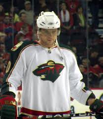 Minnesota wild, saint paul, mn. Gaborik